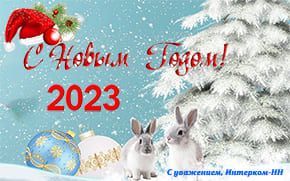 С Новым 2023 годом!