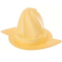 картинка Bosch 00606472 конус пресса для цитрусовых к кухонному комбайну MCM4006/01, MCM4100/01   от магазина Интерком-НН