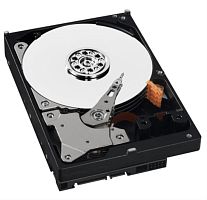 картинка Жесткий диск Western Digital 500 Gb 64 Mb SATA-II WD5000AADS от магазина Интерком-НН