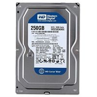 картинка Жесткий диск Western Digital 250 Gb 16 Mb SATA-III WD2500AAKX от магазина Интерком-НН
