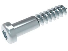 картинка Bosch 10003574 Винт для холодильника Bosch от магазина Интерком-НН