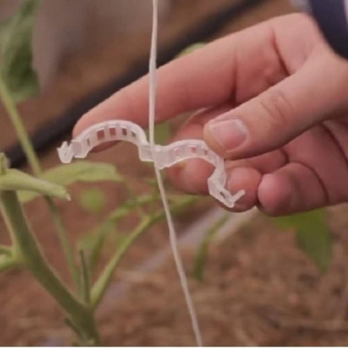 изображение Садовые клипсы (зажимы для фиксации) 23мм для подвязывания растений 500 шт магазин Компании Интерком-НН картинка Садовые клипсы (зажимы для фиксации) 23мм для подвязывания растений 500 шт от магазина Интерком-НН