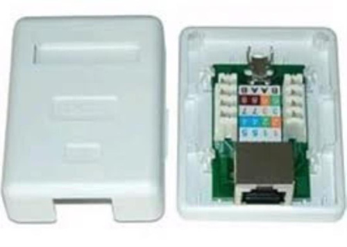 изображение SBX-00005-02 Розетка комп /1 порт/ RJ-45 /cat.6/ белая Molex магазин Компании Интерком-НН картинка SBX-00005-02 Розетка комп /1 порт/ RJ-45 /cat.6/ белая Molex от магазина Интерком-НН