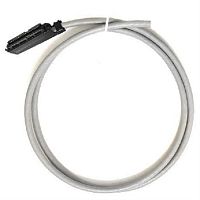 картинка Кабель Amphenol 2-метра (разъем Telco "мама" 25 пар ) от магазина Интерком-НН